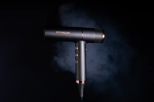 SwissLiss – The Cloud-Edition